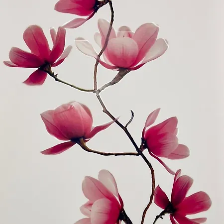 Overlord - 6 Personnes - Plages Du Debarquement Apartment